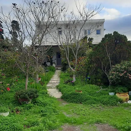 Stenorimi Valley House - Livadi, Astypalea Livadi (Astypalaia)