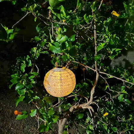 Stenorimi Valley House - Livadi, Astypalea *